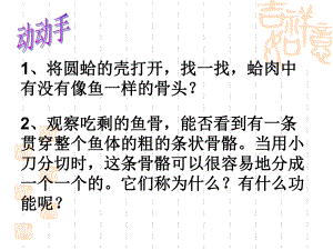 脊椎动物华师大版.ppt