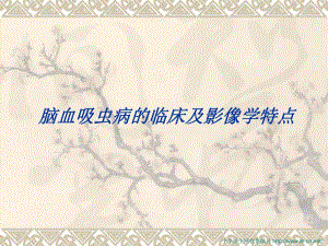 脑血吸虫病的临床及影像学特点.ppt
