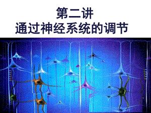 神经调节一轮复习课件.ppt