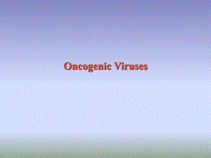 virology15tumorvirppt课件.ppt