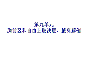 胸前区自由上肢浅层腋窝人体解剖.ppt