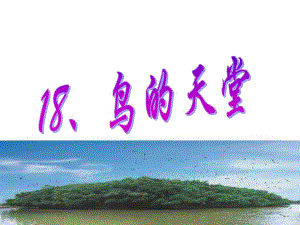 3鸟的天堂1.ppt