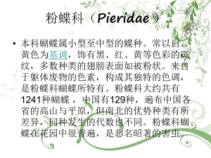 粉蝶科Pieridae.ppt