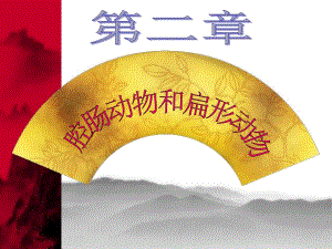 42第二节腔肠动物和扁形动物.ppt