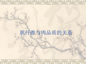 肌纤维类型与肉品质.ppt