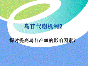 发酵机制鸟苷1920.ppt