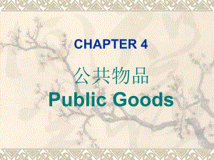 林细细财政学第4章.ppt