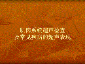 肌肉系统超声检查及常见疾病的超声表现.ppt