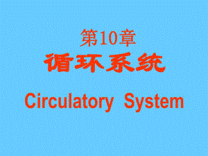 10循环系统.ppt