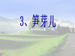 3笋芽儿第一课时.ppt