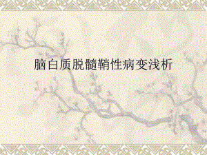 脱髓鞘病变朱丹大连医科大学.ppt