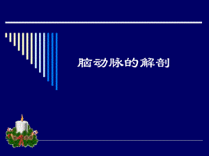 脑动脉的解剖.ppt