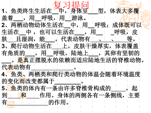 脊椎动物分类2.ppt