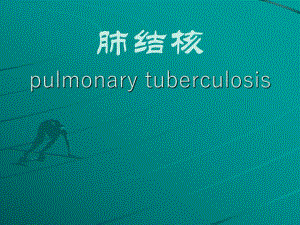 肺结核培训课件.ppt