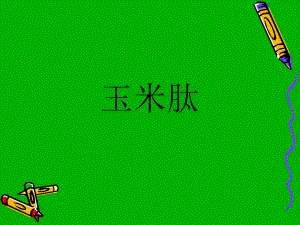 肝脏与完美玉米肽.ppt
