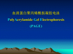 血清蛋白聚丙烯酰胺凝胶电泳.ppt