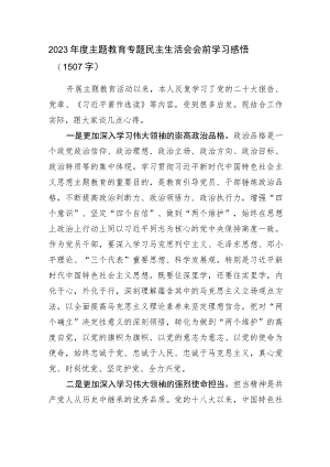 （会前）主题教育专题民主生活会会前学习感悟.docx
