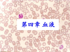 血液及血发生刘玉荣.ppt