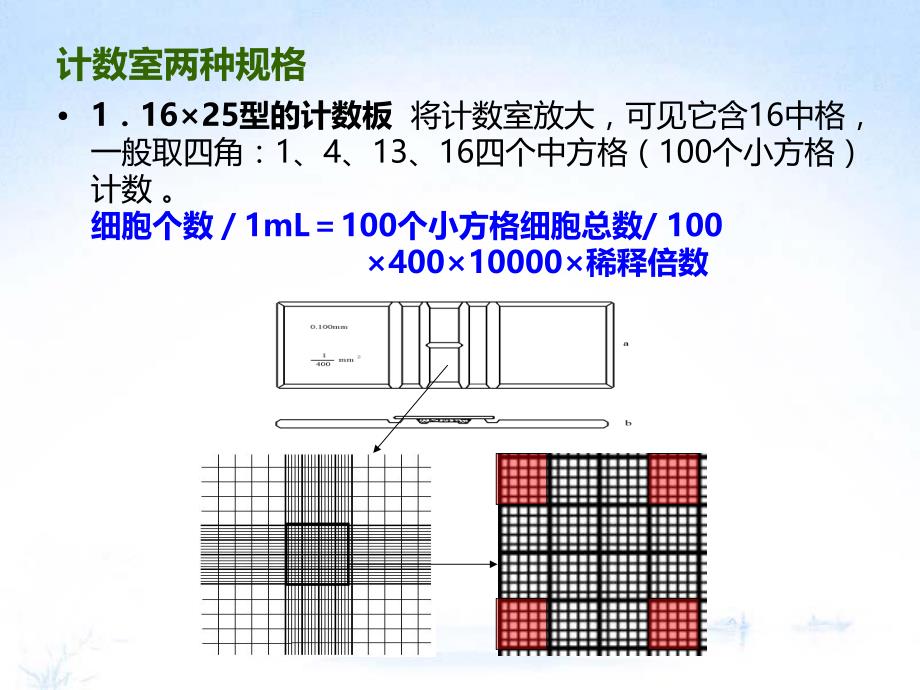 血球计数板使用.ppt_第3页