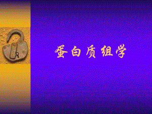 蛋白质组学.ppt