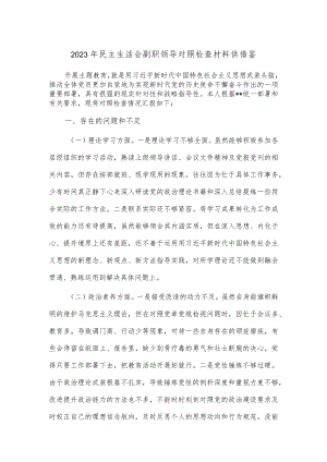 2023年民主生活会副职领导对照检查材料供借鉴.docx