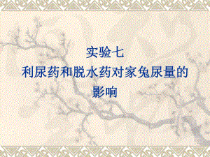 药理学实验7利尿药和脱水药对家兔尿量的影响.ppt