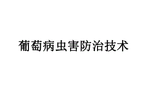 葡萄病虫害防治技术.ppt