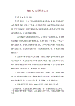 狗狗40度发烧怎么办.docx