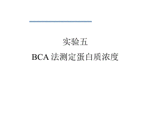蛋白浓度检测.ppt