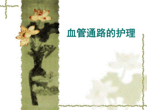 血管通路的护理.ppt
