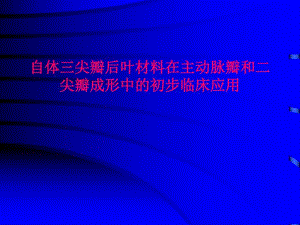 自体三尖瓣后叶材料在主动脉瓣和二尖瓣成形中的初步临床应用.ppt
