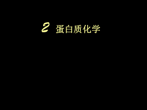 蛋白质12.ppt