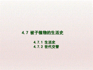 被子植物的生活史.ppt