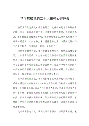 派驻纪检监察干部学习贯彻二十大精神心得感悟(十五篇).docx