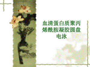 血清蛋白质聚丙烯酰胺凝胶圆盘电泳.ppt