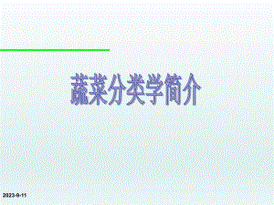 蔬菜分类方法简介.ppt