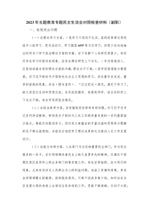 2023年主题教育专题民主生活会对照检查材料（副职）.docx