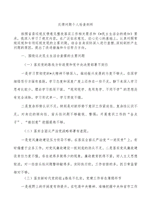 反馈问题个人检查剖析.docx