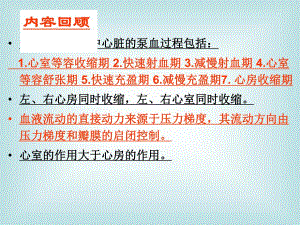 血液循环2.ppt