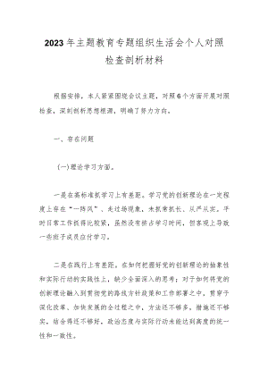 2023年主题教育专题组 织生活会个人对照检查剖析材料.docx