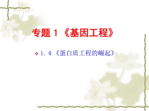蛋白质工程的崛起.ppt