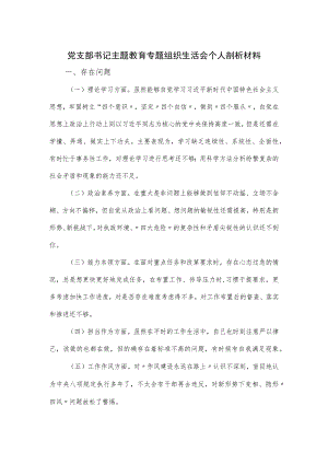 党支部书记主题教育专题组织生活会个人剖析材料.docx