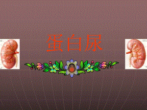 蛋白尿的诊断流程.ppt
