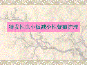 血小板减少性紫癜讲课.ppt
