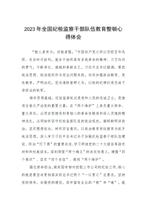 2023纪检监察干部队伍教育整顿的心得感悟(五篇).docx