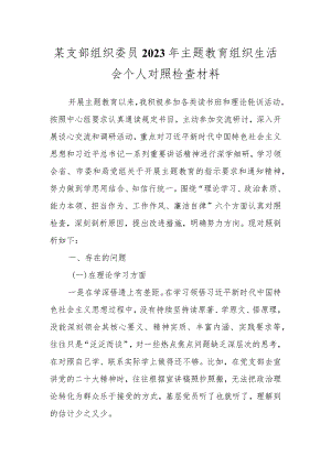 某支部组织委员2023年主题教育 组织生活会个人对照检查材料.docx