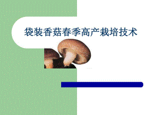 袋装香菇季高产栽培技术电子教案.ppt