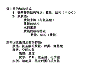 蛋白质的结构组成氨基酸的结构特点数量结构中心C2.ppt