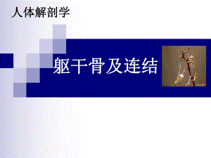 躯干骨及连结.ppt