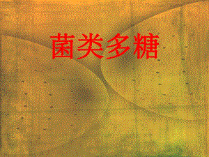 菌类多糖cc.ppt